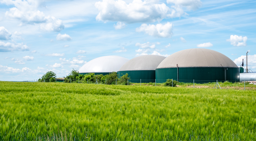 Biomass Power