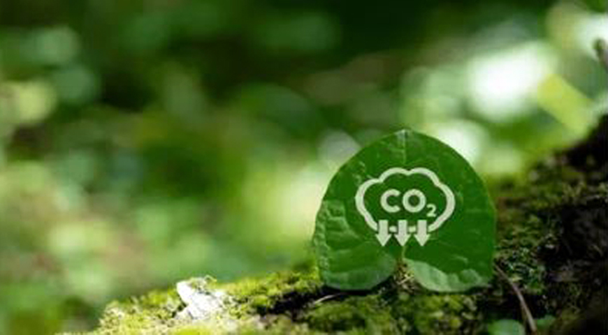 Carbon Capture